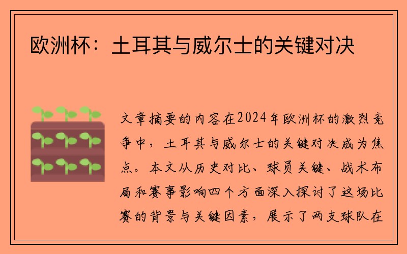欧洲杯：土耳其与威尔士的关键对决