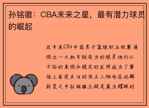 孙铭徽：CBA未来之星，最有潜力球员的崛起